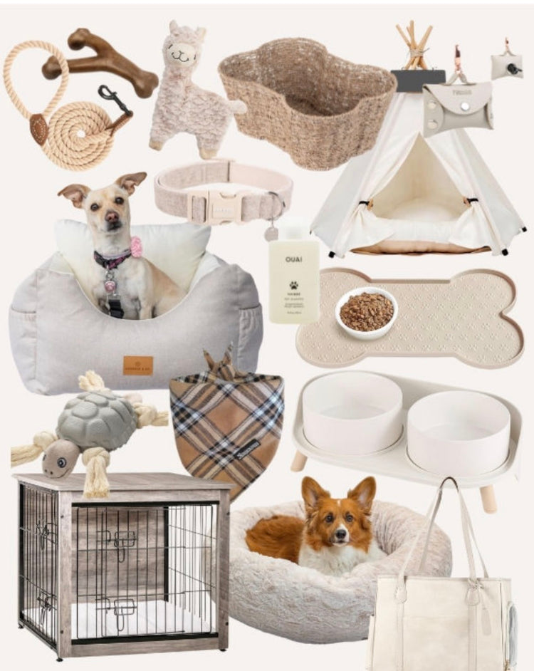 Pet Accessories